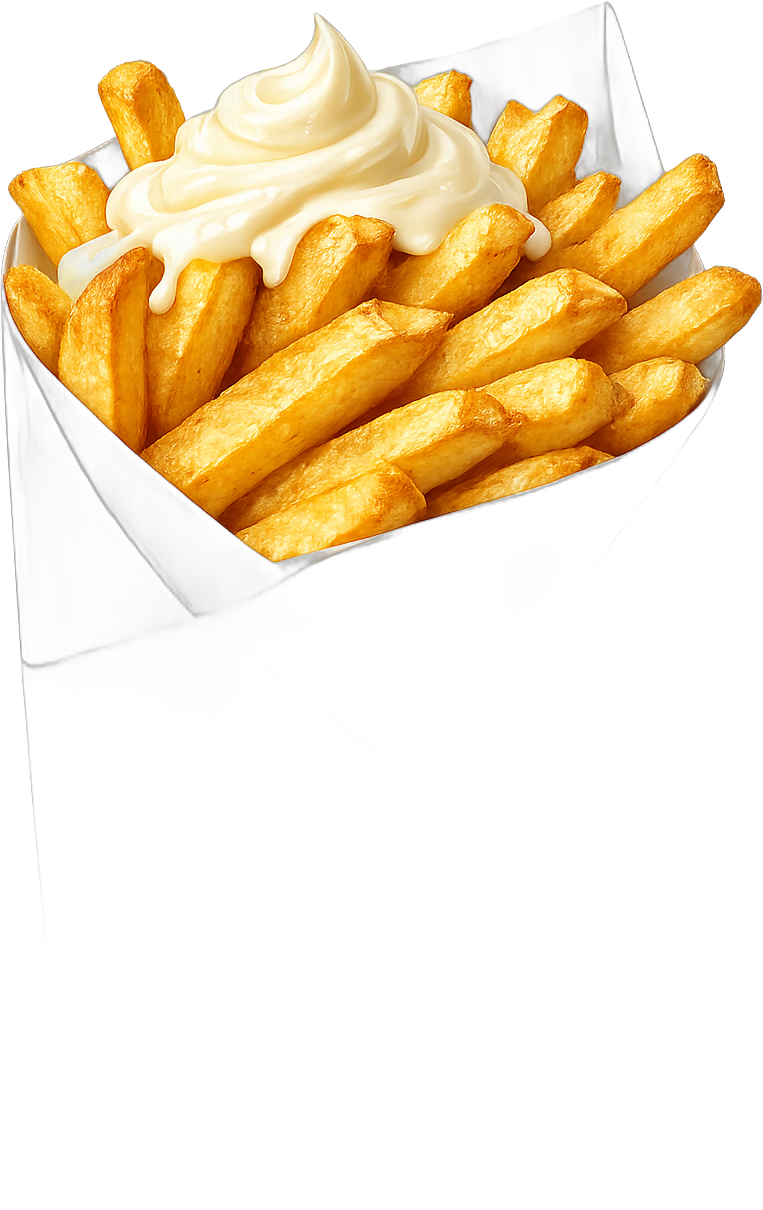 Verse frietjes met mayonaise